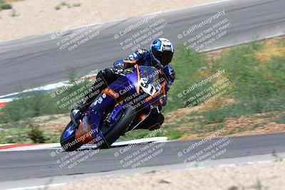 media/Apr-30-2023-CRA (Sun) [[020fcf5d43]]/Race 2-600 Expert Supersport/